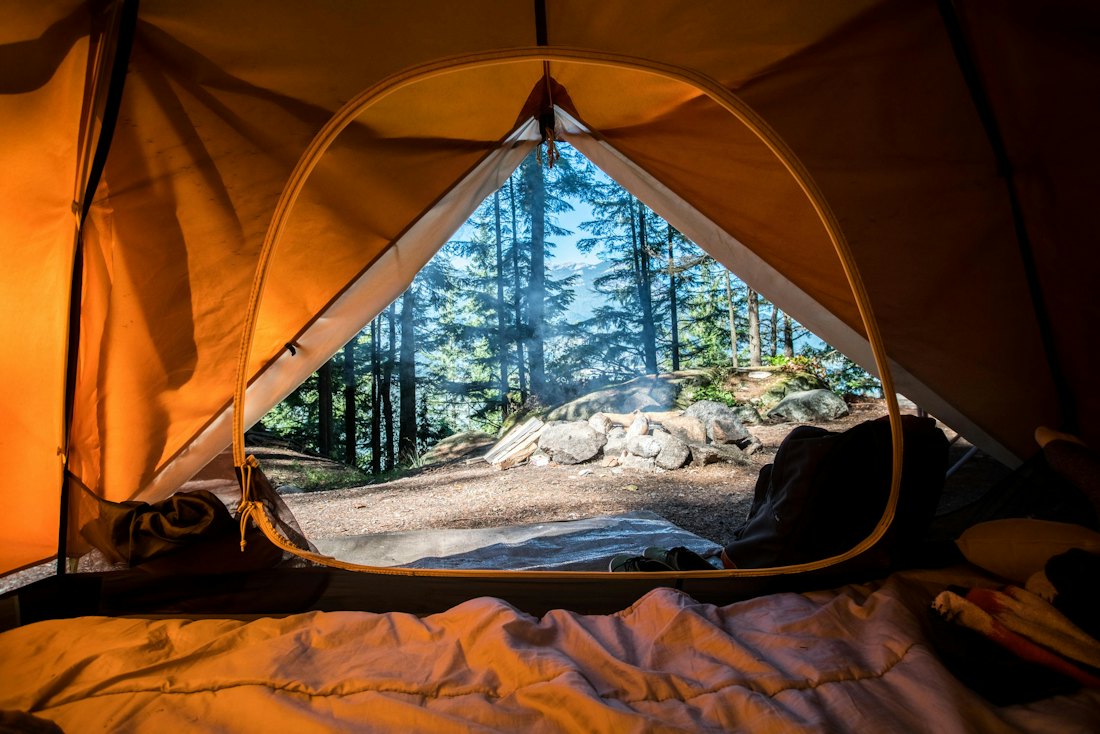 View of a forest from inside a tent